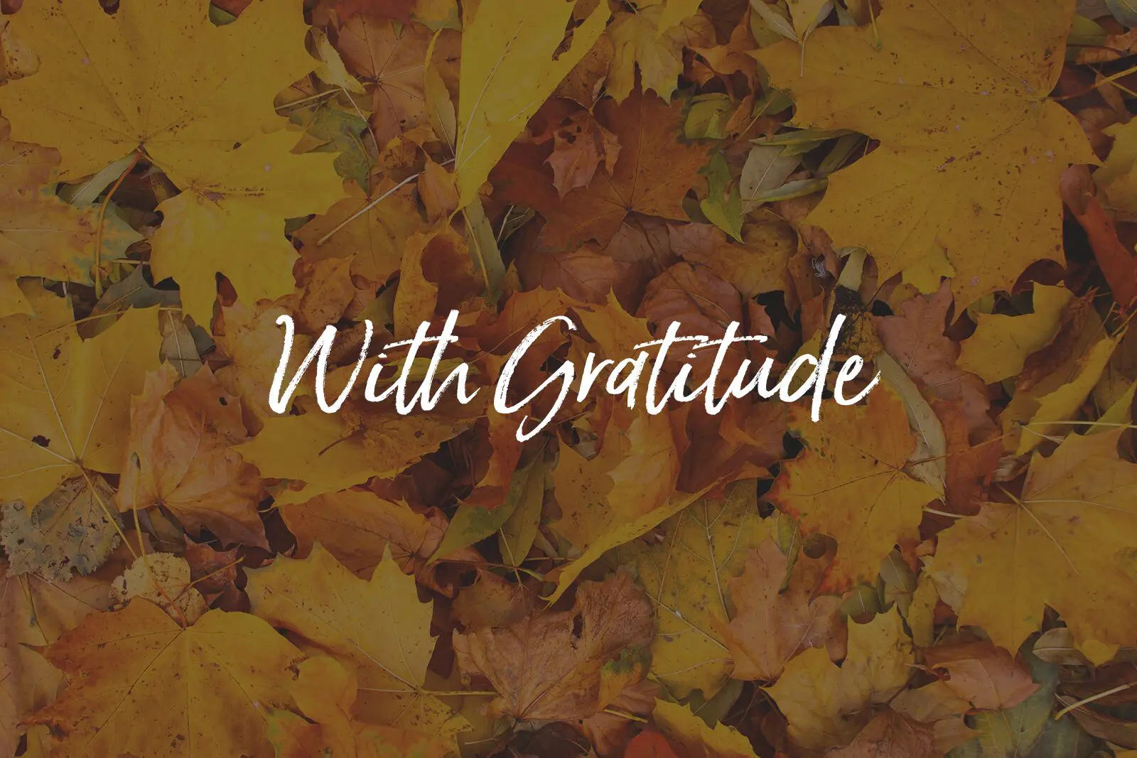 With Gratitude